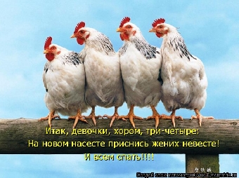 Предельные максимальные цены на мясо цыплят-бройлеров установлены в Беларуси с 1 января