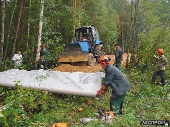 В Беларуси планируется построить в 2012 году 150 км лесохозяйственных дорог