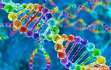 Ученые раскрыли главный секрет цепочки ДНК