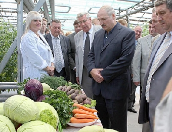 Оршанский и Верхнедвинский районы станут базовыми в освоении интенсивных сельхозтехнологий