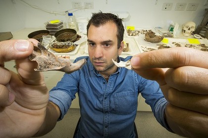 Кости крыс размером с собаку нашли в Юго-Восточной Азии