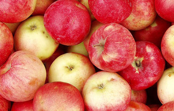 20 брестских фирм легализовывали польские яблоки в РФ