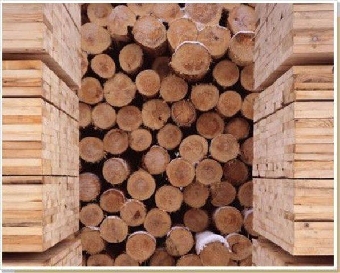 Таксы на древесину основных лесных пород в 2012 году будут увеличены в 2,24 раза