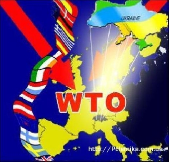 Вступление России в ВТО будет способствовать принятию в организацию Беларуси и Казахстана - Чиеду Осакве