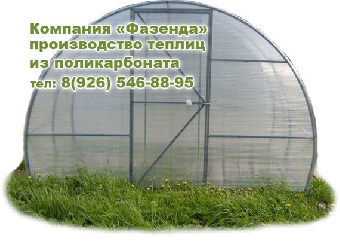 Сильные морозы не сказались на производстве тепличных культур