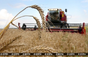 Около 60 организаций Минсельхозпрода отработали в 2011 году с убытком