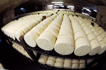 В Беларуси налажено импортозамещающее производство сыра с голубой плесенью