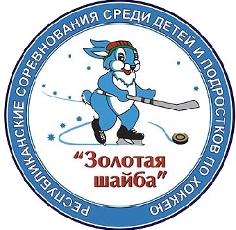 Городские финальные соревнования среди детей и подростков по хоккею с шайбой стартуют в Минске 9 февраля