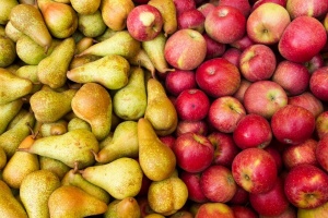Россельхознадзор запретил яблоки и груши из Беларуси