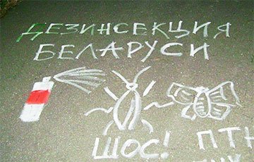 «Беларусь без Луки!»: партизаны провели смелую акцию в Сморгони