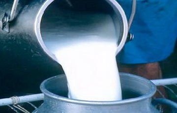 Дело о радиоактивном молоке в Хойниках передали в экономический суд