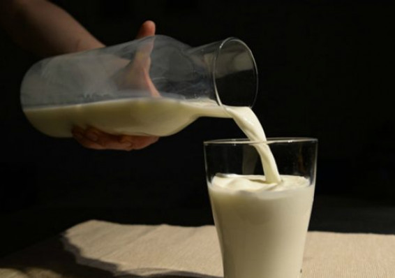 Россельхознадзор отменил ограничение поставок молока с 32 предприятий Беларуси