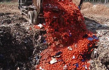 Видеофакт: Россия закопала 20 тонн турецких помидоров из Беларуси