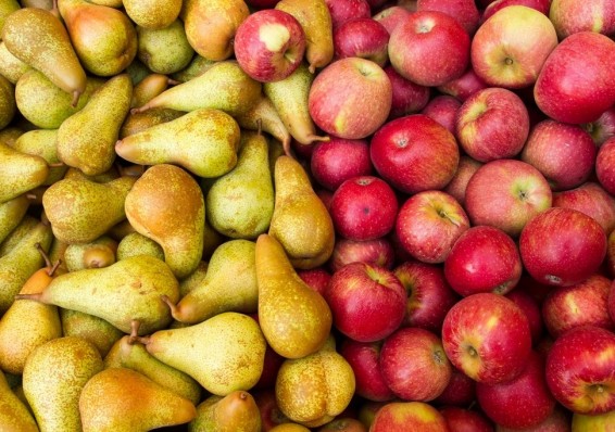 С 12 апреля Россельхознадзор вводит ограничения на поставки в Россию яблок и груш из Беларуси