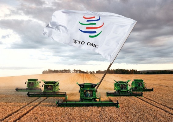 Сельское хозяйство Беларуси может оказаться в сложном положении после вступления в ВТО