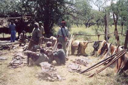 В Танзании уволили четырех министров за жестокое обращение с браконьерами