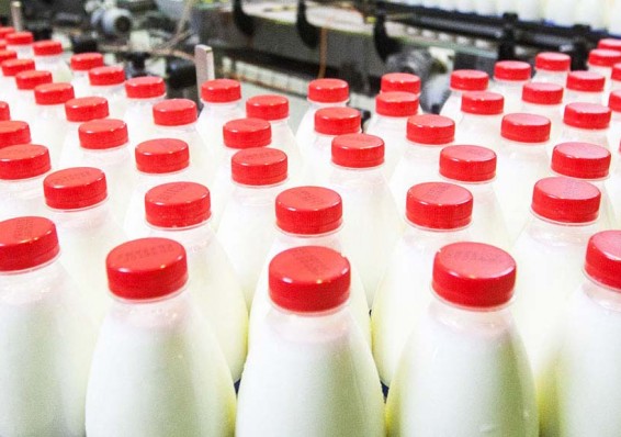 Россия добивается отмены решения ЕЭК по белорусской «молочке»