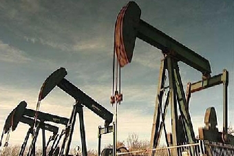 Добыча сырой нефти в Беларуси за январь сократилась на 1,4% до 140 тыс.т