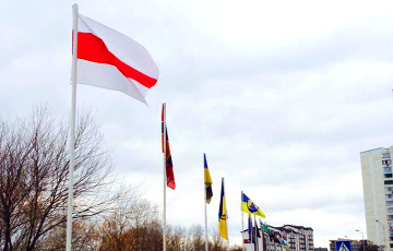 Фотофакт: Белорусский флаг на Аллее Добровольцев