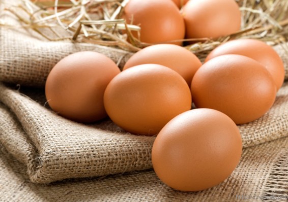 Отменены временные ограничения на поставки куриных яиц с ОАО Солигорская птицефабрика
