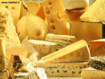 Сырный фестиваль планируют провести в Беларуси