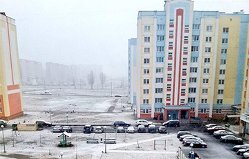 Фотофакт: весенний снег в Беларуси