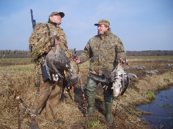 Сезон охоты на гусей в Беларуси открывается с 10 марта