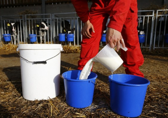 Беларусь не уйдет с российского молочного рынка ни при каких обстоятельствах