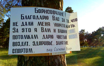 Активисты продолжают бороться против застройки в Борисове