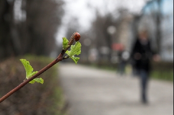 Апрель в Беларуси ожидается теплым