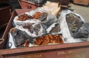Финансовая милиция пресекла деятельность нелегального сборщика металлолома