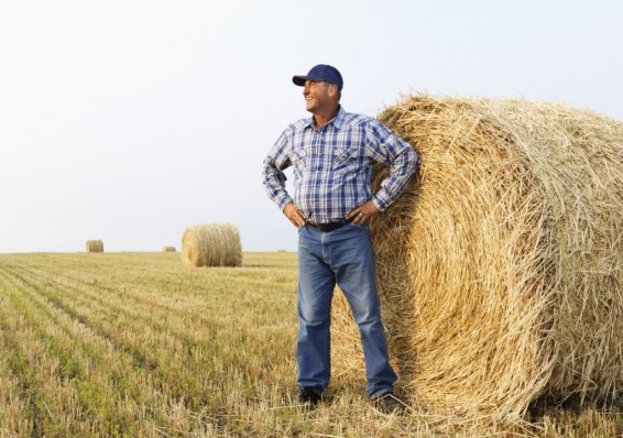 Белорусские фермеры сегодня производят всего около 2 процентов сельхозпродукции