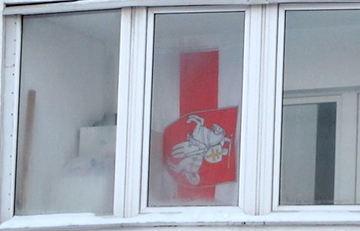 Зимние окна свободных белорусов продолжают удивлять своей смелостью
