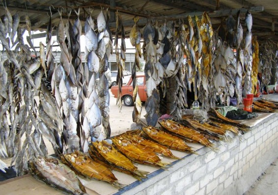 Крымская рыба получила зеленый свет для продажи в Беларуси