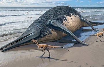 В Англии нашли кости крупнейшего морского динозавра