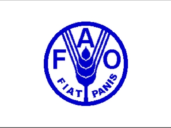 Региональная конференция для Европы Продовольственной и сельскохозорганизации ФАО проходит в Баку