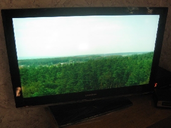Все белорусские лесхозы к 2015 году оборудуют видеонаблюдением по охране лесов от пожаров