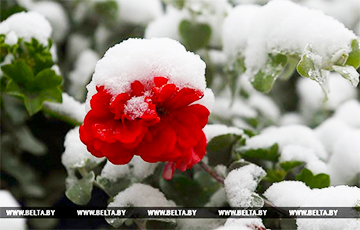 До 12 сантиметров снега выпало на северо-западу Беларуси