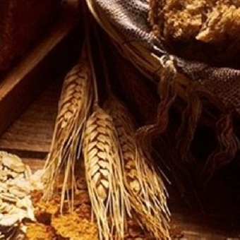 Теплая погода в Беларуси вызвала ускоренное развитие зерновых культур