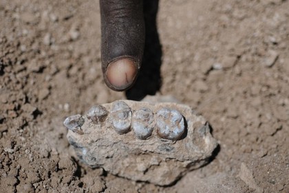 В Эфиопии нашли нового предка человека