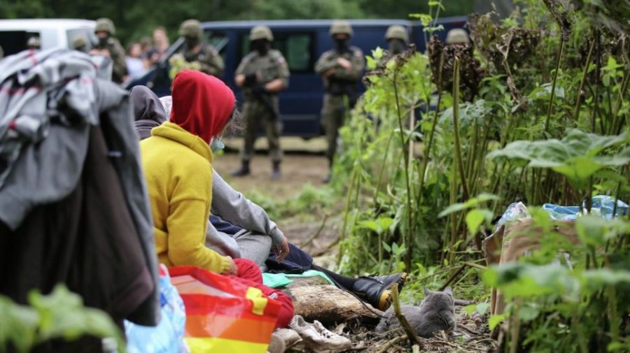 Польша в третий раз пытается передать гуманитарку мигрантам, застрявшим на границе с Беларусью
