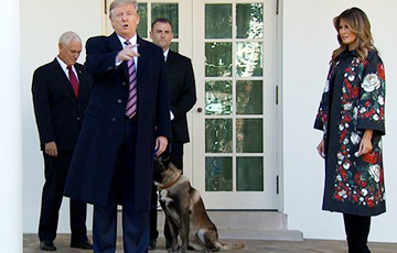 Трамп принял в Белом доме и наградил пса-ликвидатора аль-Багдади
