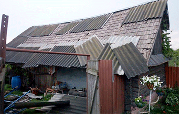 Видеофакт: Сильный ветер в Могилевском районе сорвал крыши с домов, повалил деревья