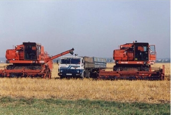 Инвестиции в лесное хозяйство Беларуси в 2012 году ожидаются в сумме Br460 млрд.