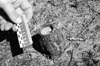 На железной дороге в Минске найдена граната