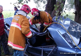 Водитель без прав в Витебском районе врезался в дерево, пассажирка погибла