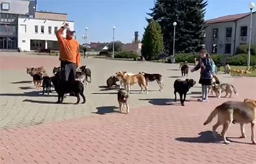 Крик души: как зоозащитник вывел на площадь к исполкому 50 собак