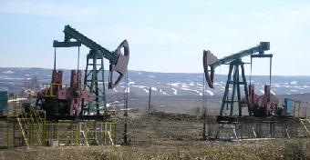 Добыча сырой нефти в Беларуси за январь-май сократилась на 1,1% до 688 тыс.т