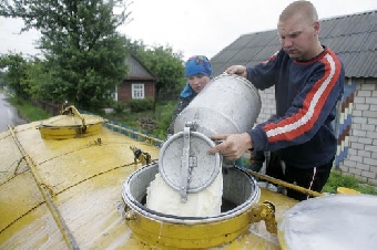 Беларусь в 2012 году планирует увеличить поставки молочной продукции в Россию на 200 тыс.т