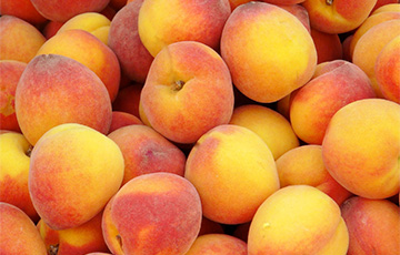 Россия запретила реэкспорт некоторых фруктов через Беларусь